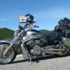 Over the last fours years, that original set of Rok straps have been thoroughly tested over many thousands of kilometers, in all kinds of weather and riding conditions. They have proven to be an excellent  product & have kept my riding luggage and camera equipment safe & secure. rokstrapscanada.com