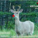 After being caught up in the excitement of the Reindeer games, Rudolph is seen here trying to remember where Santa Claus parked the sleigh...
Merry Christmas everyone, all the best to you in 2011.
Thank you for watching Virtual Riding TV & sharing it with others

Near the Delta Hotel, Kananaskis 