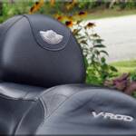 Out of the blue I got a message from someone on Facebook letting me know that he's followed our bike builds & wanted to offer me first chance to buy his brand new 100th Anniversary backrest pad! It arrived the other day and now both of our camera bikes have one! 